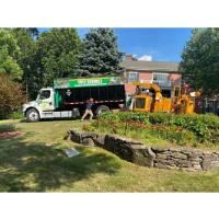 Juarez Landscaping and Tree Services image 3